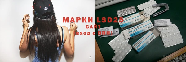 молекула духа Новодвинск