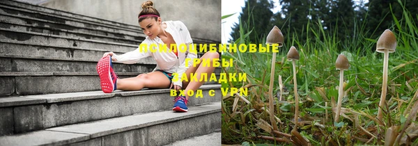 хмурый Нея