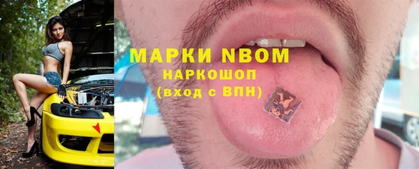 хмурый Нея