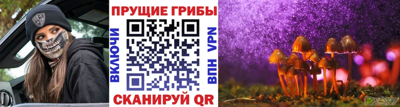 Купить  Жердевка  Галлюциногенные грибы мицелий 
